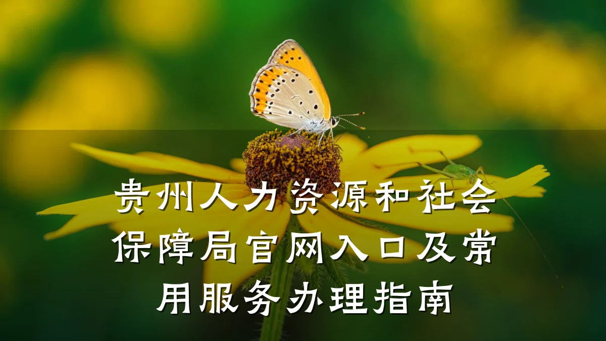 贵州人力资源和社会保障局官网入口及常用服务办理指南