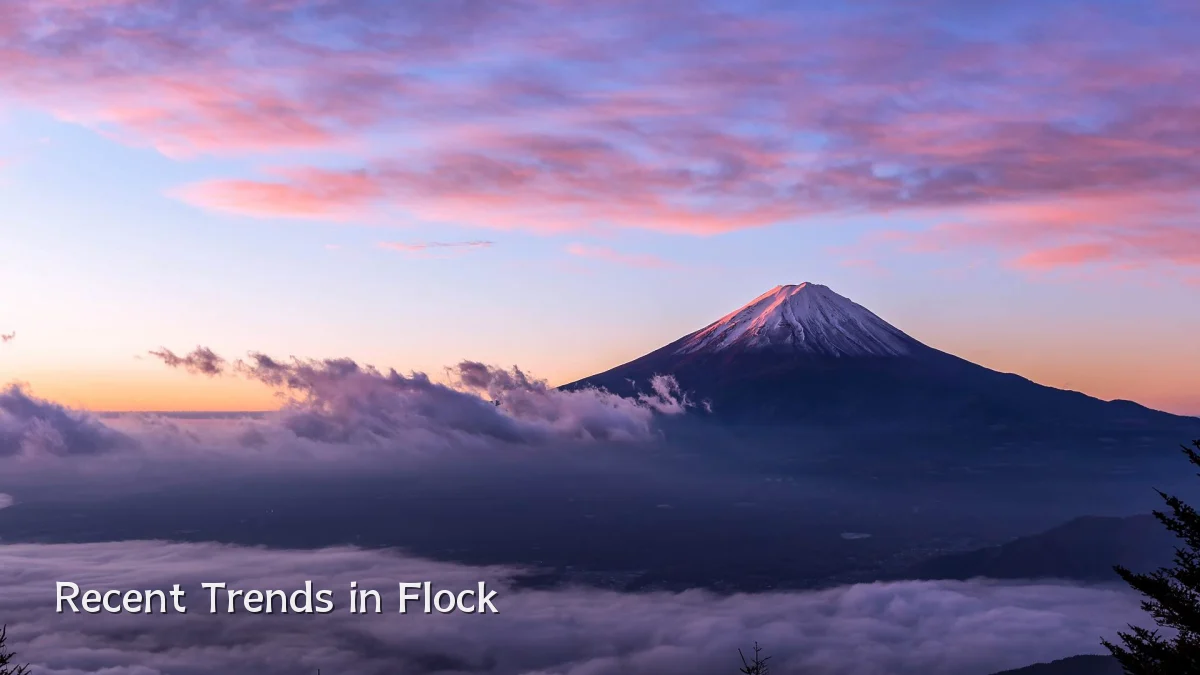 Recent Trends in Flock