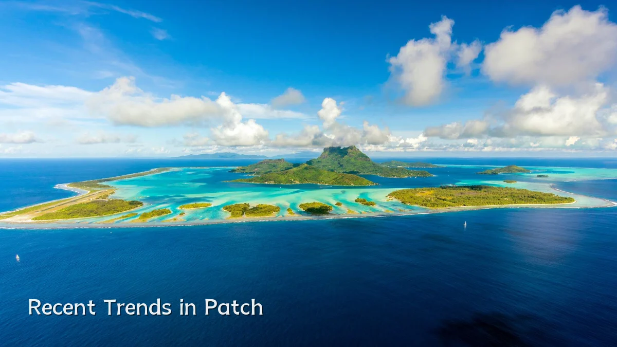 Recent Trends in Patch