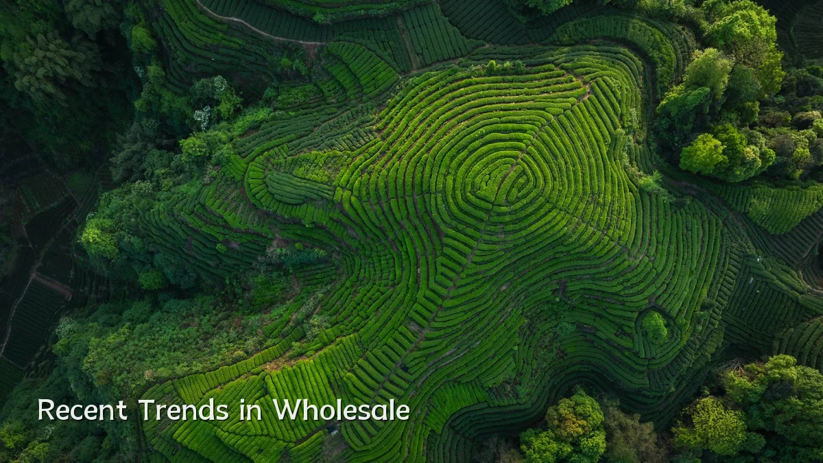 Recent Trends in Wholesale