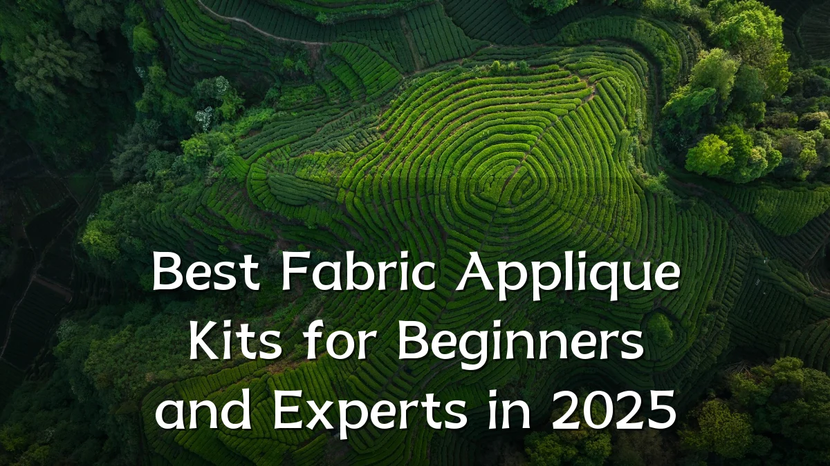 Best Fabric Applique Kits for Beginners and Experts in 2025