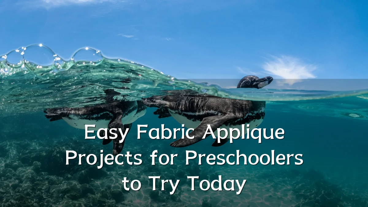 Easy Fabric Applique Projects for Preschoolers to Try Today