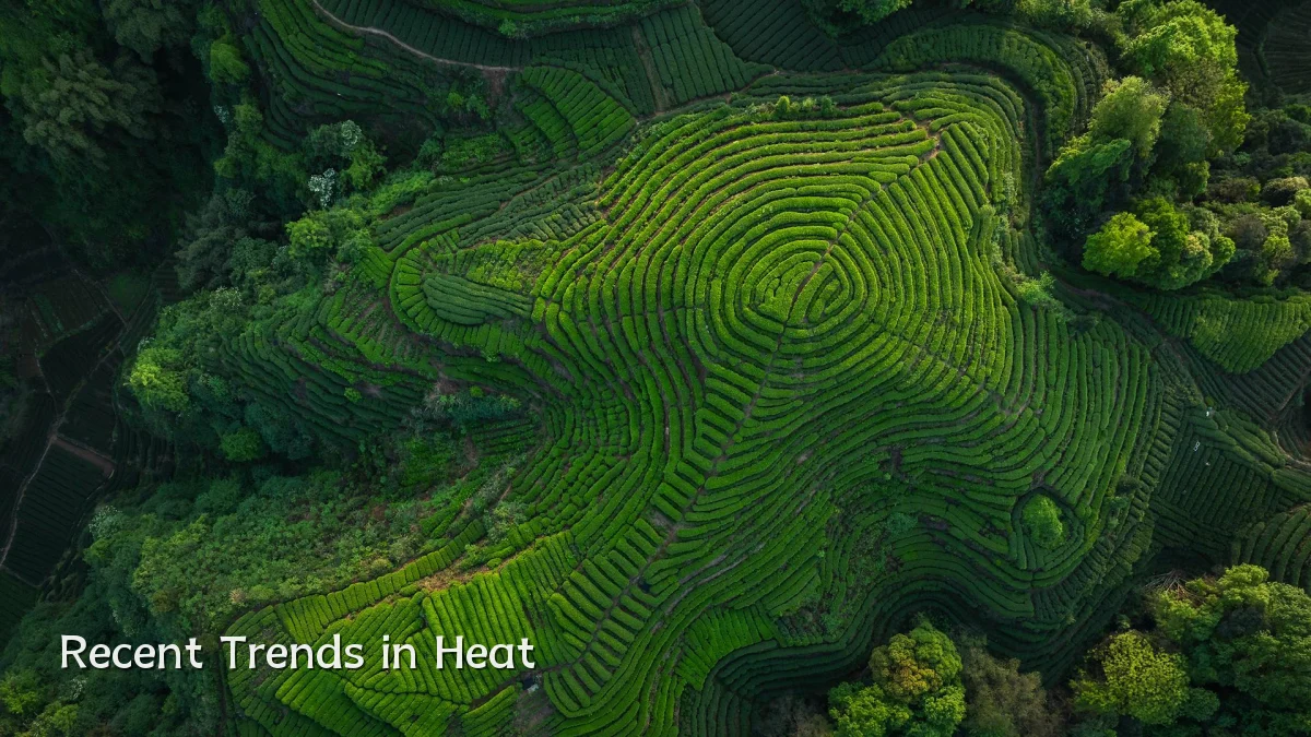 Recent Trends in Heat