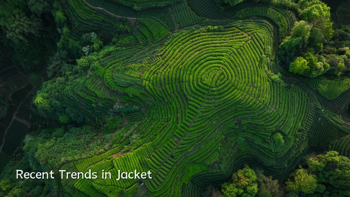 Recent Trends in Jacket