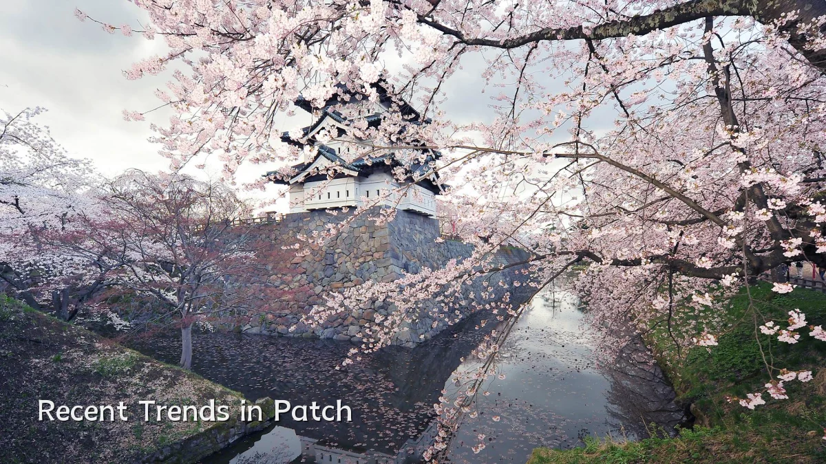 Recent Trends in Patch