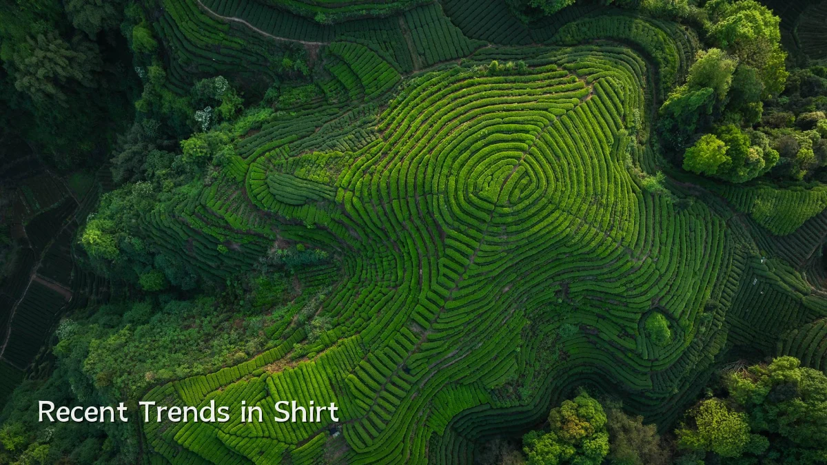 Recent Trends in Shirt