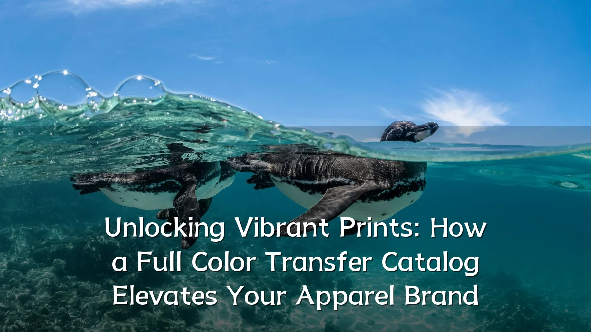 Unlocking Vibrant Prints: How a Full Color Transfer Catalog Elevates Your Apparel Brand