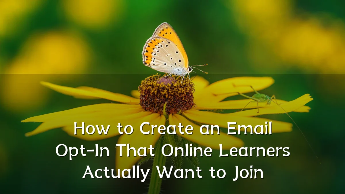 How to Create an Email Opt-In That Online Learners Actually Want to Join