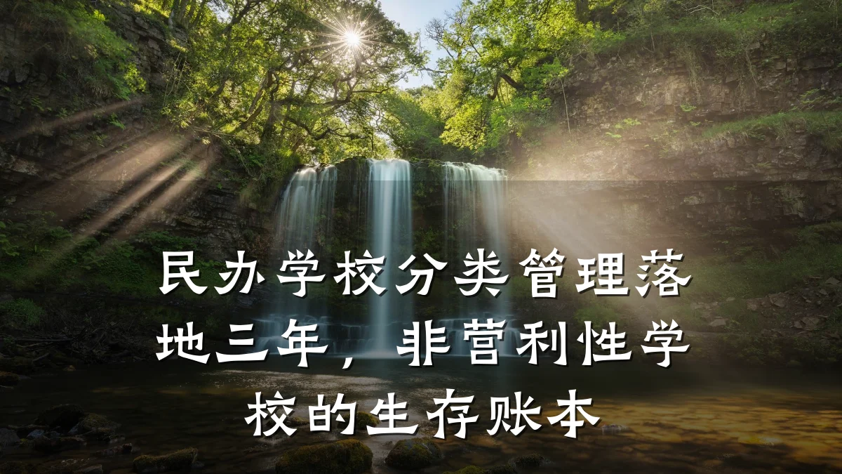 民办学校分类管理落地三年，非营利性学校的生存账本